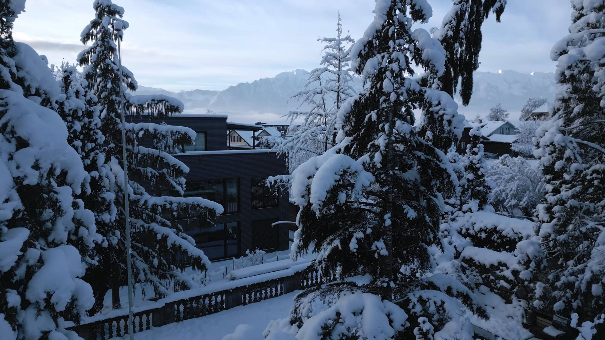 Alte Gärtnerei im Winter (Dezember 2023)